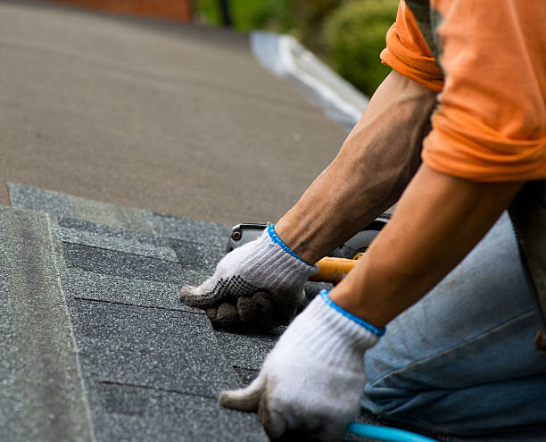 Best Gutter Installation and Roofing  in Silver Lake, NC
